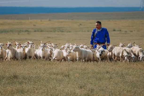 Sustainable Cashmere Industry Discussed