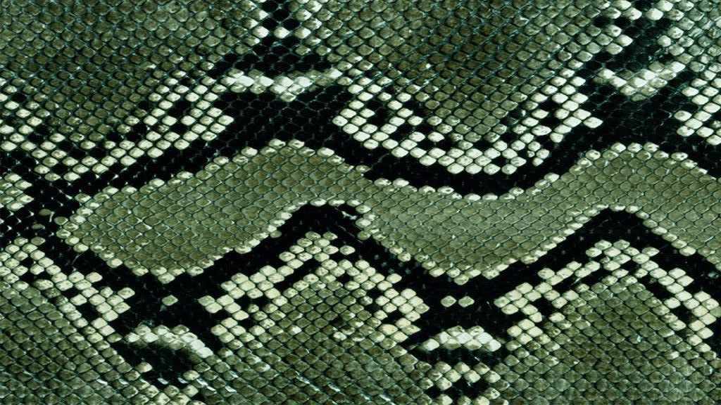 2025 Chinese Snake Year Brand Marketing