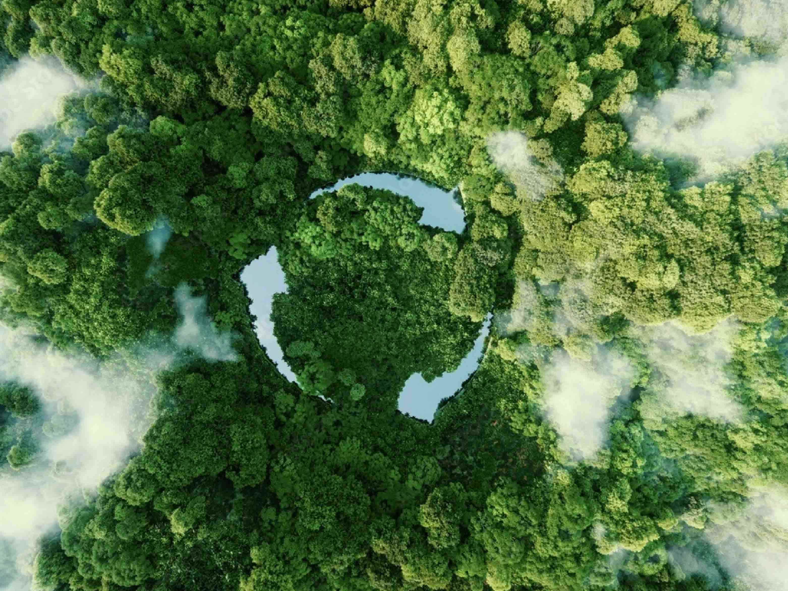 Business Sustainability: A New Direction for Global Strategy and Corporate Responsibility