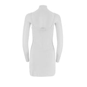 Sleeveless Fitted Knit Tank Dress
