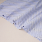 Gathered Poplin Shirt Dress