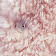 Imitation Teddy Fur Large Lapel Minimalist Coat