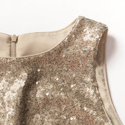 Sequined Sleeveless Dress