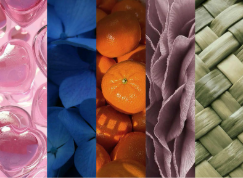 Fabric color palette and trend reference